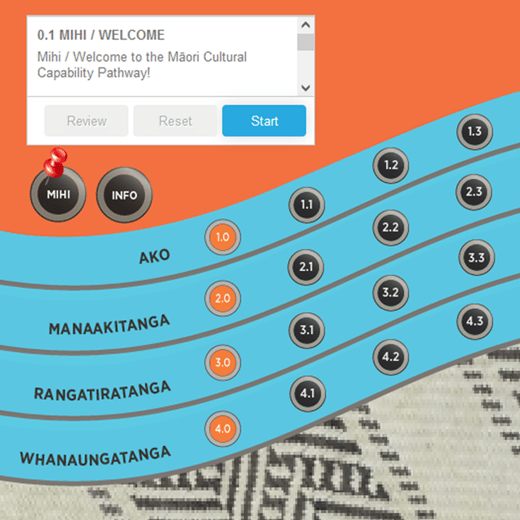 Screenshot of the Māori Cultural Capability online pathway