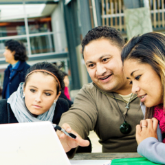 Māori cultural capability workshop series