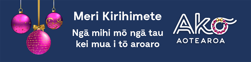 Xmas 2025 email banner